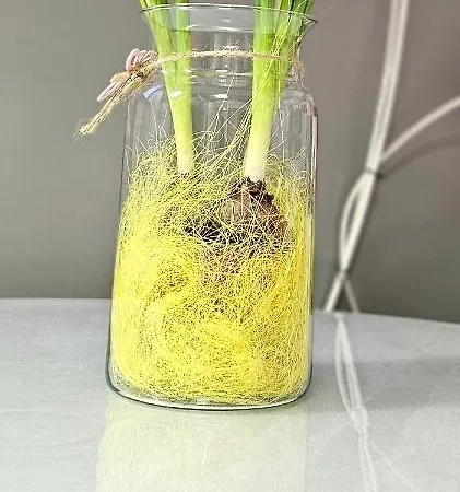 公寓 New York By Karl