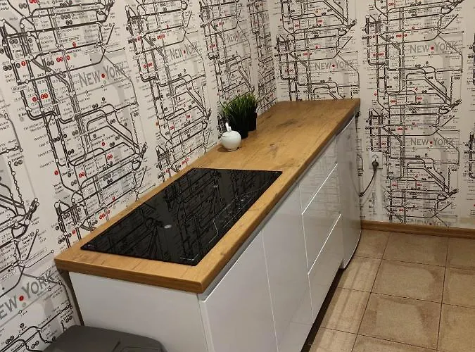 公寓 New York By Karl 拉多姆